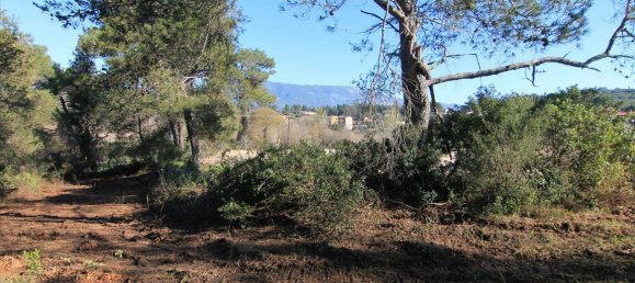 Hotel in Corfu, Greece 11017m², Nr. 5809 3