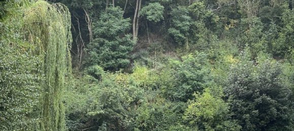 4 غرف نوم منزل ذو طابقين في Noeux-les-Mines, France رقم 256480 9