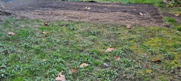 Квартира с 5 комнатами в Вогера, Италия № 238653 80