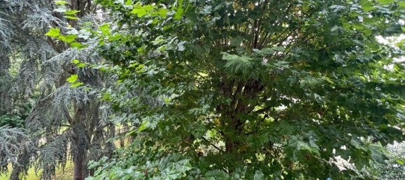 2 bedrooms Apartment in Yvelines, France No. 175363 10