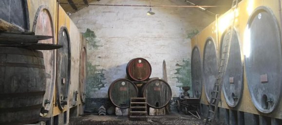 15-salle Maison à Campobello di Mazara, Italy No. 308872 8