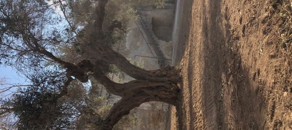 15-salle Maison à Campobello di Mazara, Italy No. 308872 33