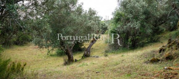 4 chambres Maison à Montemor o Novo, Portugal No. 15080 47