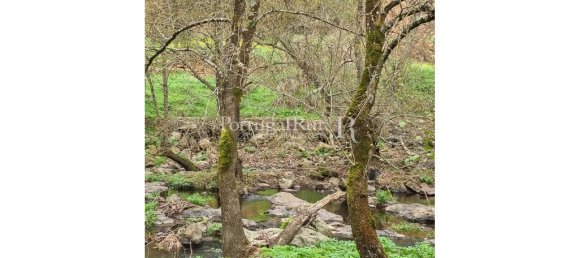4 chambres Maison à Montemor o Novo, Portugal No. 15080 38