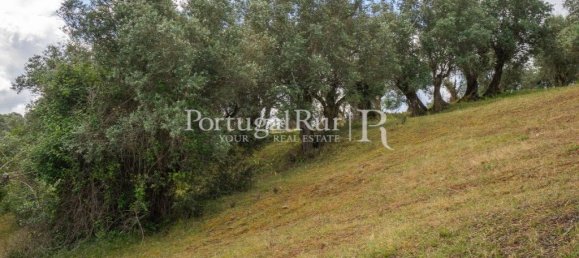 4 chambres Maison à Montemor o Novo, Portugal No. 15080 42