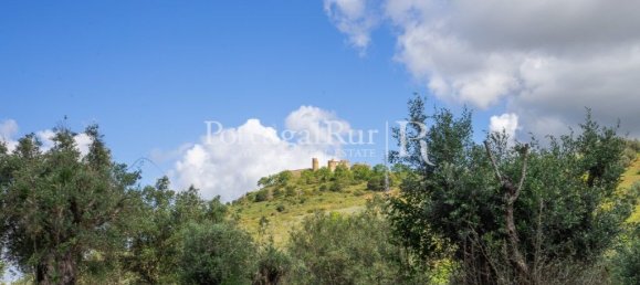4 chambres Maison à Montemor o Novo, Portugal No. 15080 41