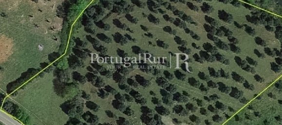 4 chambres Maison à Montemor o Novo, Portugal No. 15080 39