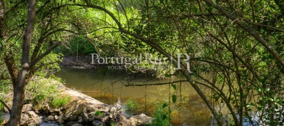 4 chambres Maison à Montemor o Novo, Portugal No. 15080 6
