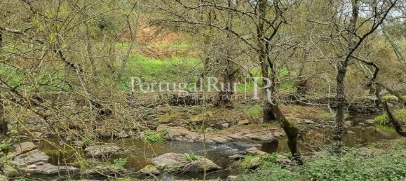 4 chambres Maison à Montemor o Novo, Portugal No. 15080 34