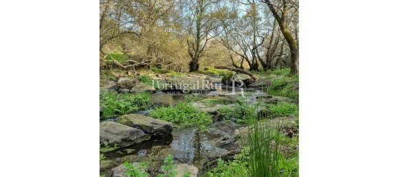 4 chambres Maison à Montemor o Novo, Portugal No. 15080 37