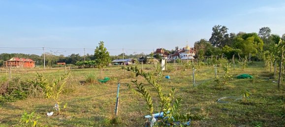 4 غرف نوم منزل في Chiang Mai, Thailand رقم 11371 9