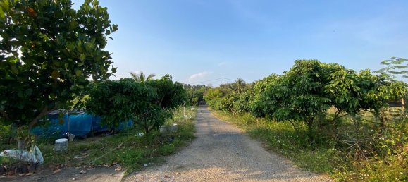 4 bedrooms Cafe / restaurant in Chiang Mai, Thailand No. 11371 21