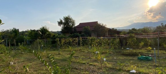 4 غرف نوم منزل في Chiang Mai, Thailand رقم 11371 3