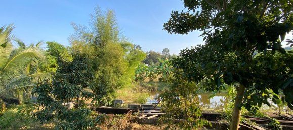 4 bedrooms Cafe / restaurant in Chiang Mai, Thailand No. 11371 15