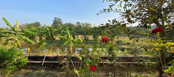 4 bedrooms Cafe / restaurant in Chiang Mai, Thailand No. 11371 18