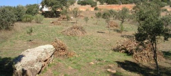 Land in Toledo, Spain No. 137567 3