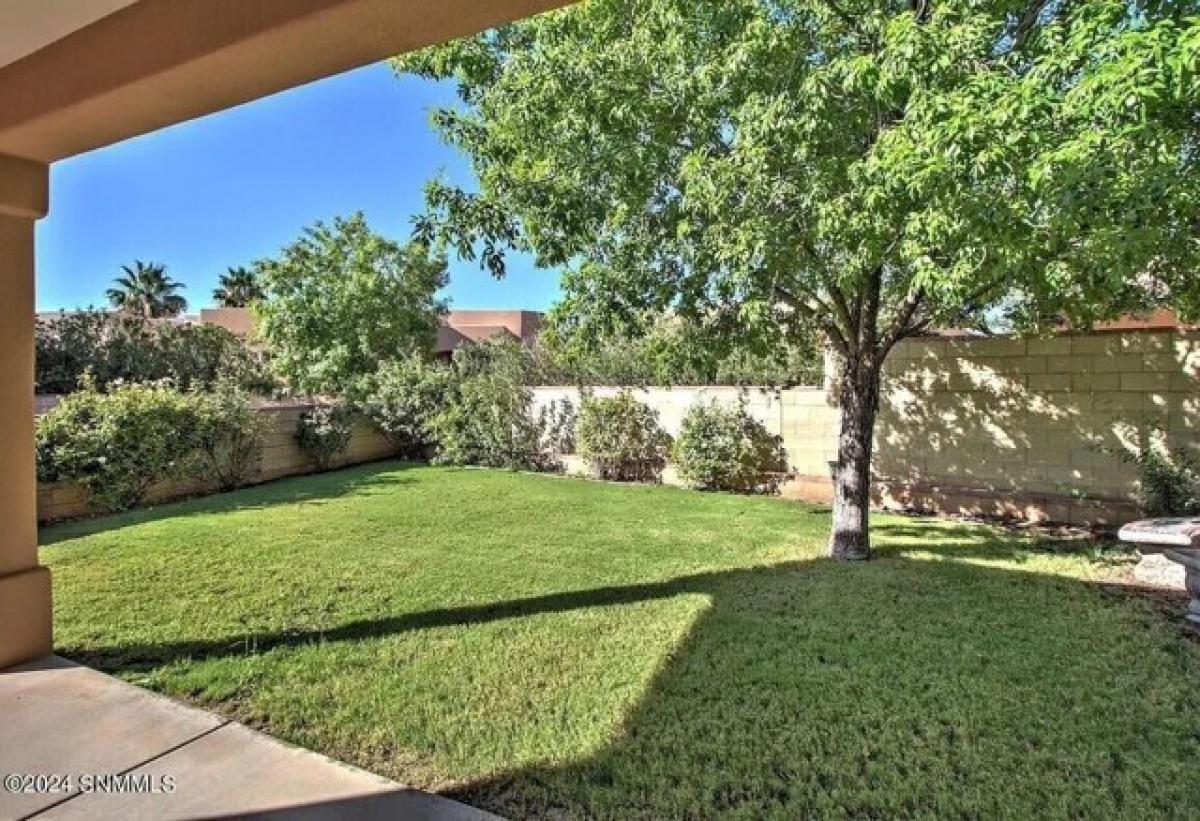 3 bedrooms House in Las Cruces, USA No. 371568