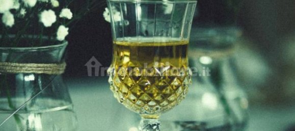 1-Zimmer Gewerbliche Immobilie in Goito, Italy, Nr. 105999 19