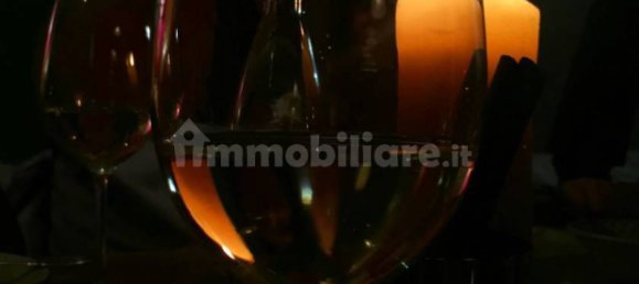 1-Zimmer Gewerbliche Immobilie in Goito, Italy, Nr. 105999 11