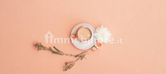 1-Zimmer Gewerbliche Immobilie in Goito, Italy, Nr. 105999 3