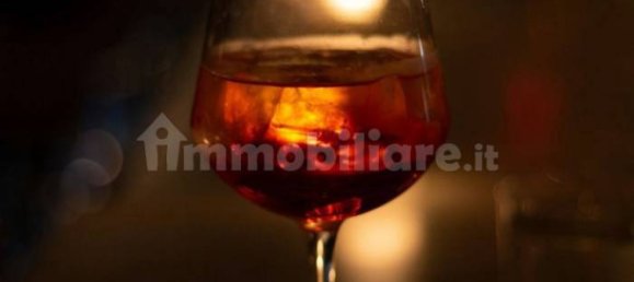 1-Zimmer Gewerbliche Immobilie in Goito, Italy, Nr. 105999 17