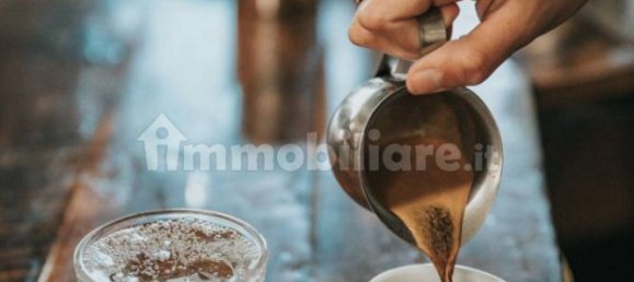 1-Zimmer Gewerbliche Immobilie in Goito, Italy, Nr. 105999 6