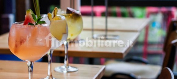 1-Zimmer Gewerbliche Immobilie in Goito, Italy, Nr. 105999 14