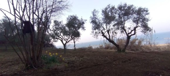 قطعة أرض في Ortona, Italy 1800متر مربع رقم 271253 3