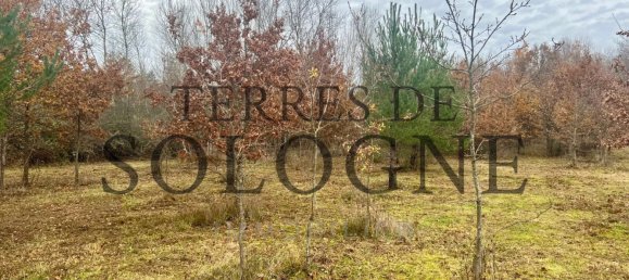 Земельный участок в Монтрьё-ан-Солонь, Франция № 89096 5