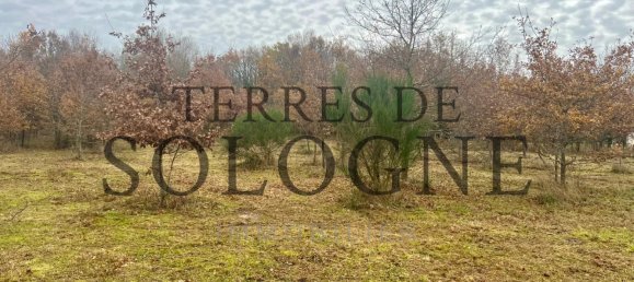 Земельный участок в Монтрьё-ан-Солонь, Франция № 89096 3