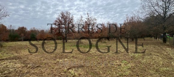 Земельный участок в Монтрьё-ан-Солонь, Франция № 89096 7