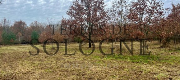 Земельный участок в Монтрьё-ан-Солонь, Франция № 89096 2