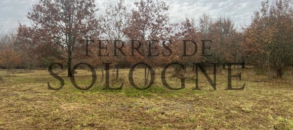 Земельный участок в Монтрьё-ан-Солонь, Франция № 89096 6