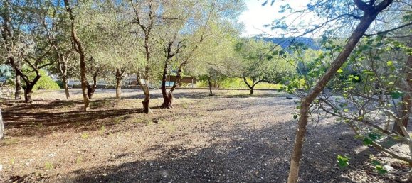 Casa T3 em Alzira, Spain N.º 135203 11