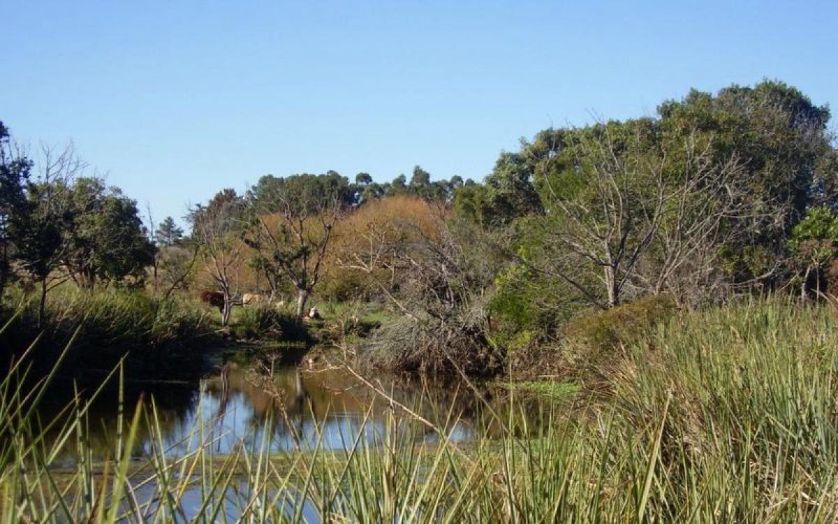  Farm in Maldonado, Uruguay No. 14250