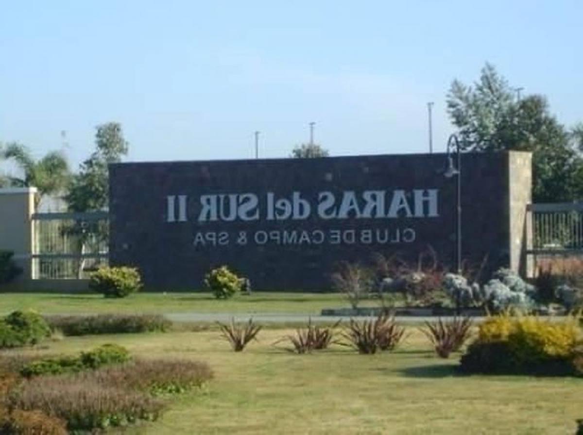  Land in Brandsen, Argentina No. 30916