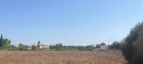 Дом с 3 спальнями в Порререс, Испания № 164392 29