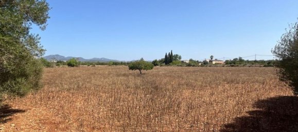 Дом с 3 спальнями в Порререс, Испания № 164392 28