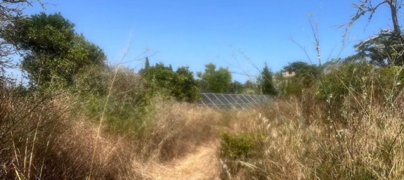 Дом с 3 спальнями в Порререс, Испания № 164392 31