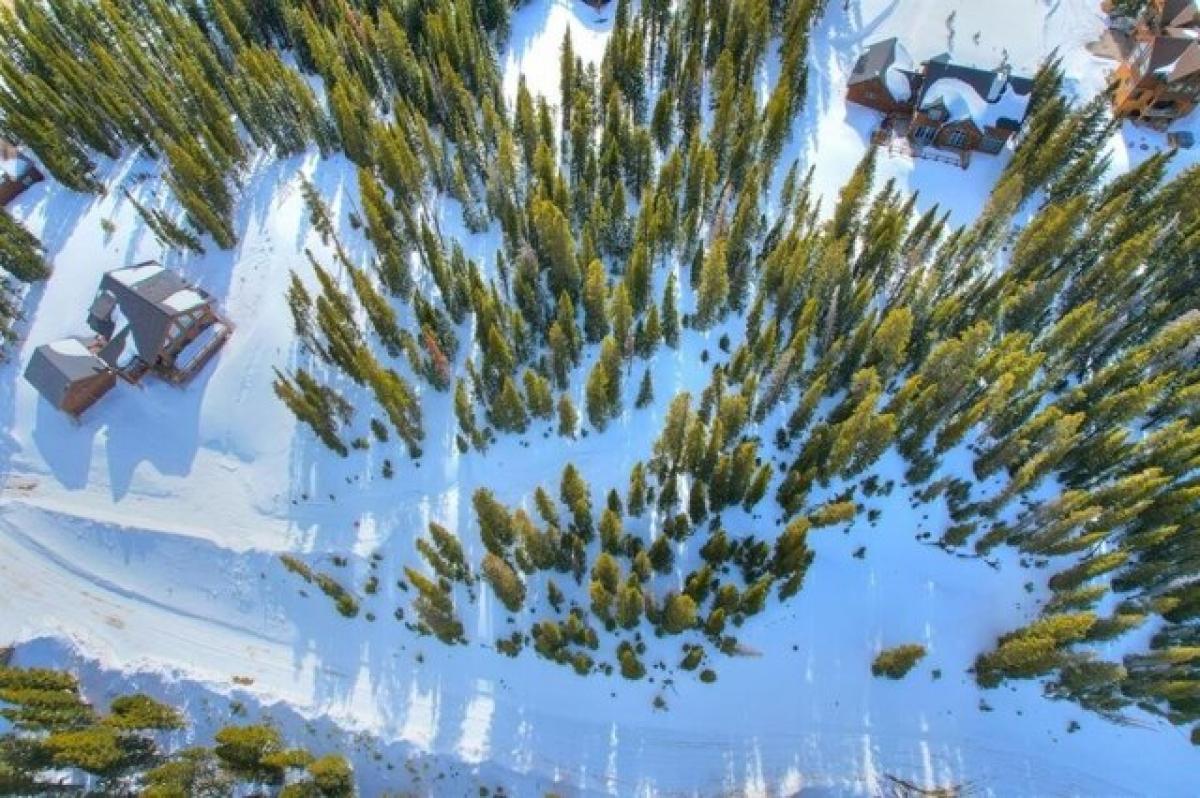  Land in Breckenridge, USA No. 481715