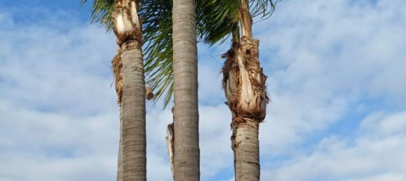 Villa de 8 habitaciónes en Carmiano, Italy No. 152904 14