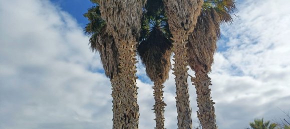 Villa de 8 habitaciónes en Carmiano, Italy No. 152904 15