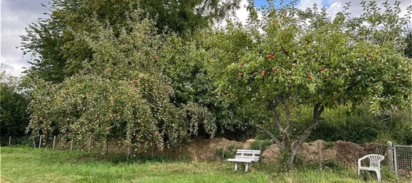 4 غرف نوم منزل في Soest, Germany رقم 330886 6