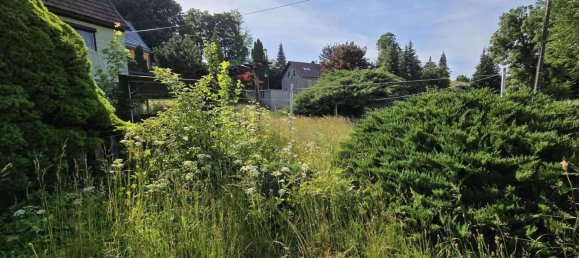 Land in Sachsische Schweiz-Osterzgebirge, Germany No. 258190 16