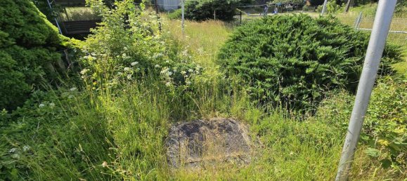 Land in Sachsische Schweiz-Osterzgebirge, Germany No. 258190 15