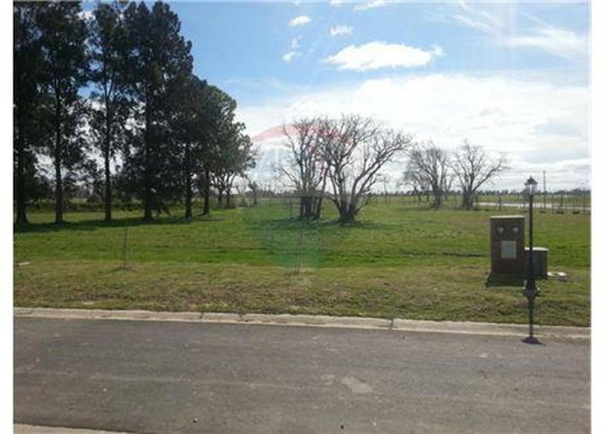 Grundstück in Pilar, Argentina, Nr. 37586