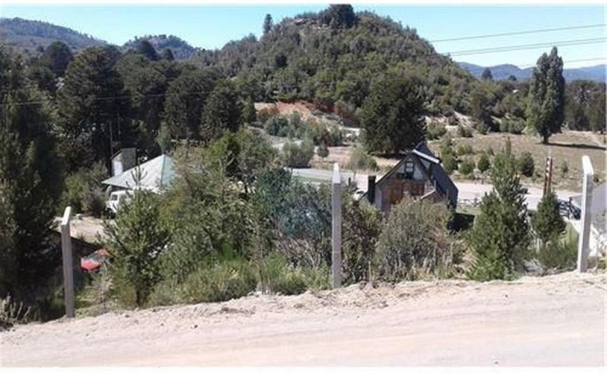 Terrain à Neuquen, Argentina No. 48150