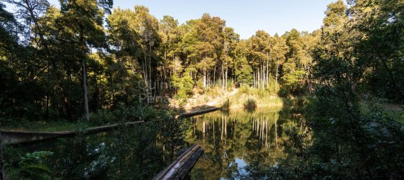 9 Schlafzimmer Haus in Sintra, Portugal, Nr. 50334 3