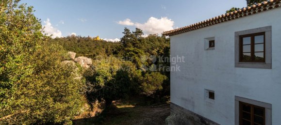 9 Schlafzimmer Haus in Sintra, Portugal, Nr. 50334 22