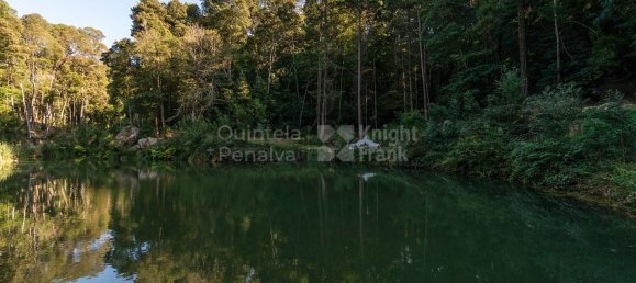 9 Schlafzimmer Haus in Sintra, Portugal, Nr. 50334 4